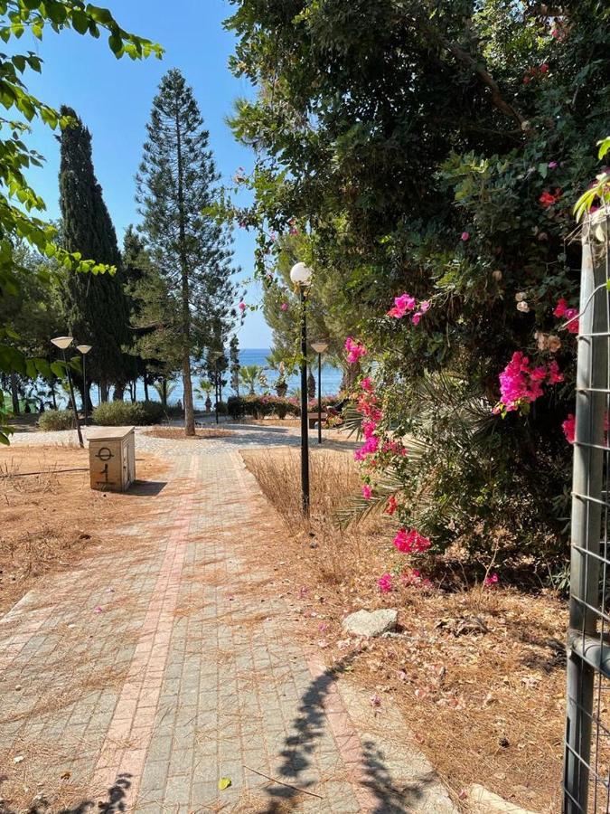 דירות לימסול Samson Sea Breeze, 3Bed Sleeps 6, Free Wifi מראה חיצוני תמונה